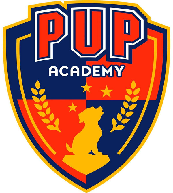 Featured image for “Pup Academy – 9th Top Rated Show On All Of Netflix!”